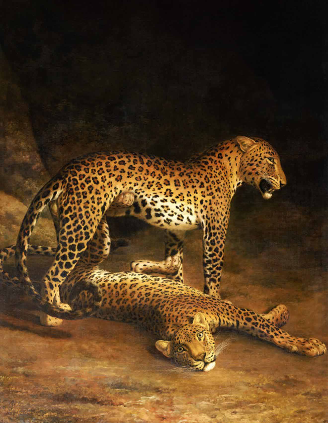 Jacques-Laurent Agasse Two Leopards Lying in the Exeter